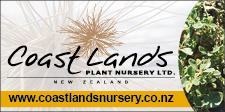 Coast Land Plant Coast Land Plant